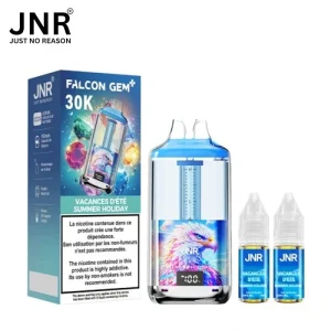 Puff JNR Falcon Gem 30K – Summer Holiday (Ananas Mangue Pastèque Passion)
